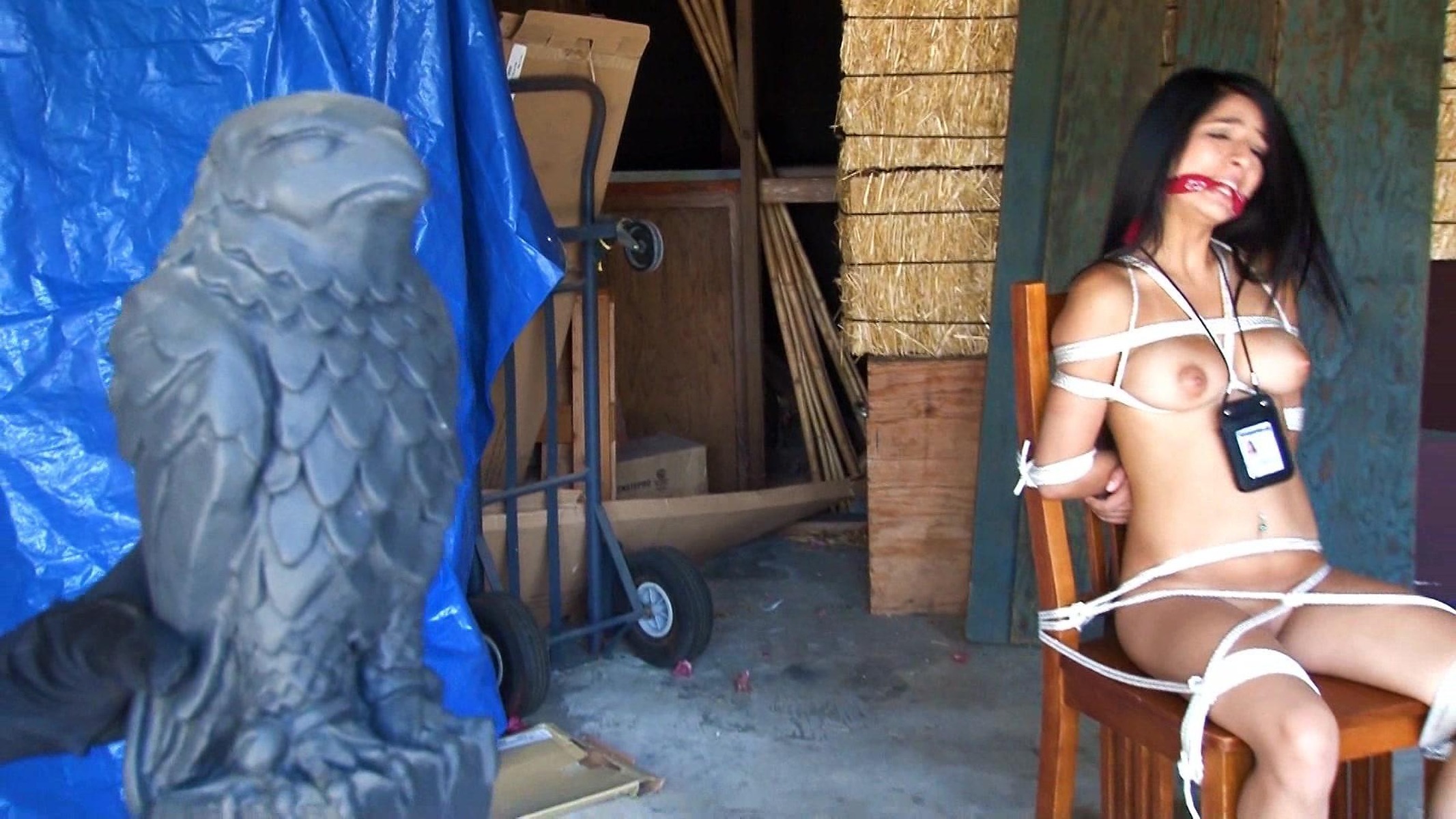 Photos - American Damsels Network Diva In Distress Part One Megan Sal