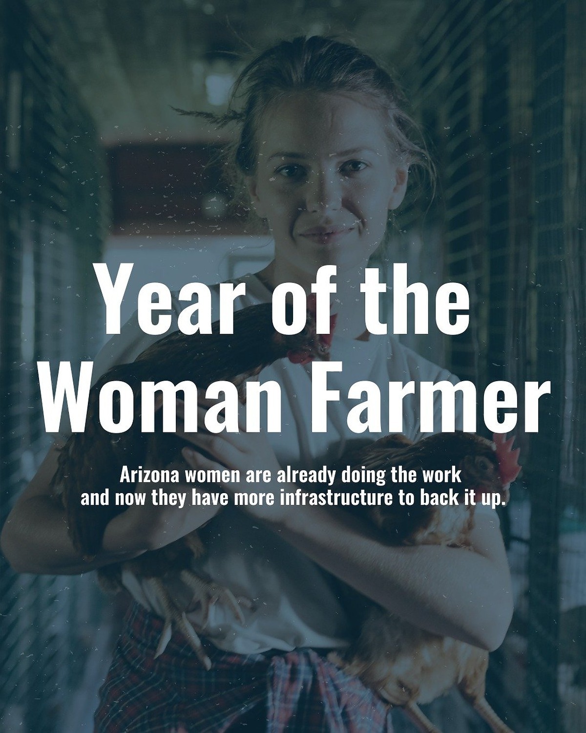 Photos - Show Your Indie Love — Local First Arizona