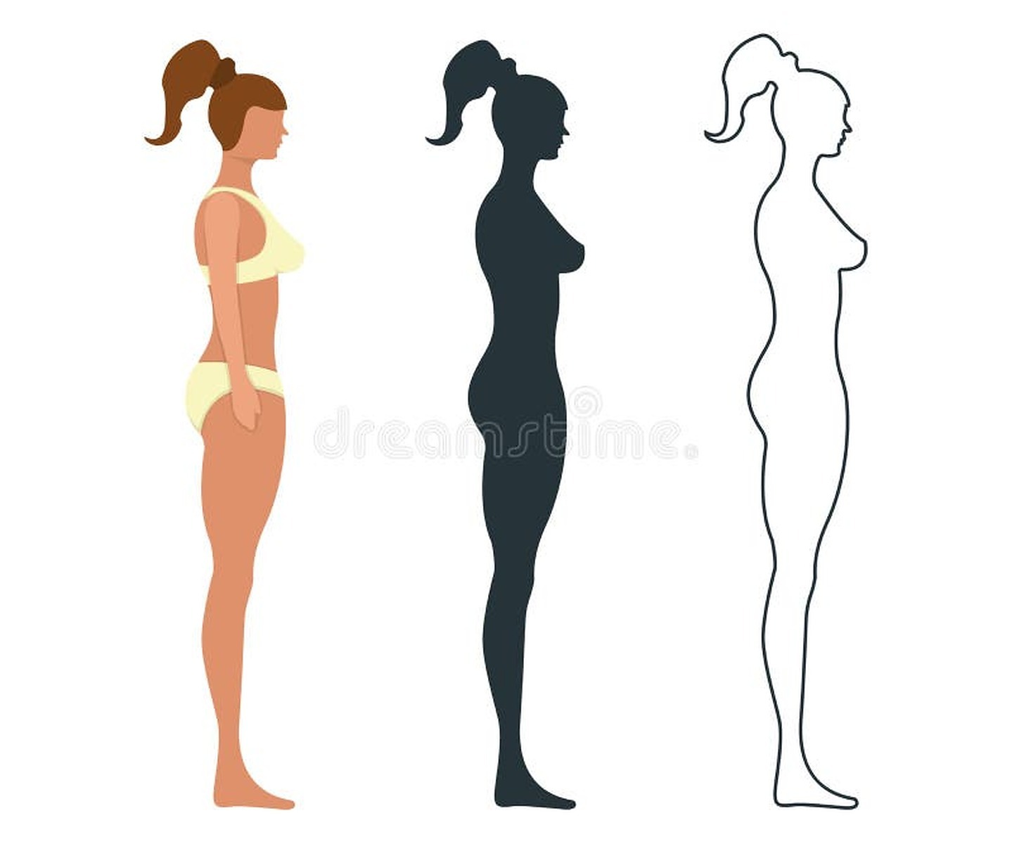 Photos - Silhouettes Of Beautiful Girls Standing In Colored Bikini Dress.