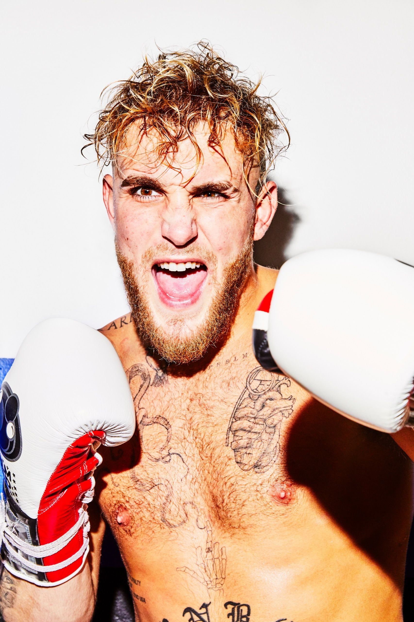 Photos - Can Jake Paul Fight His Way Out Of Trouble The New Yorker