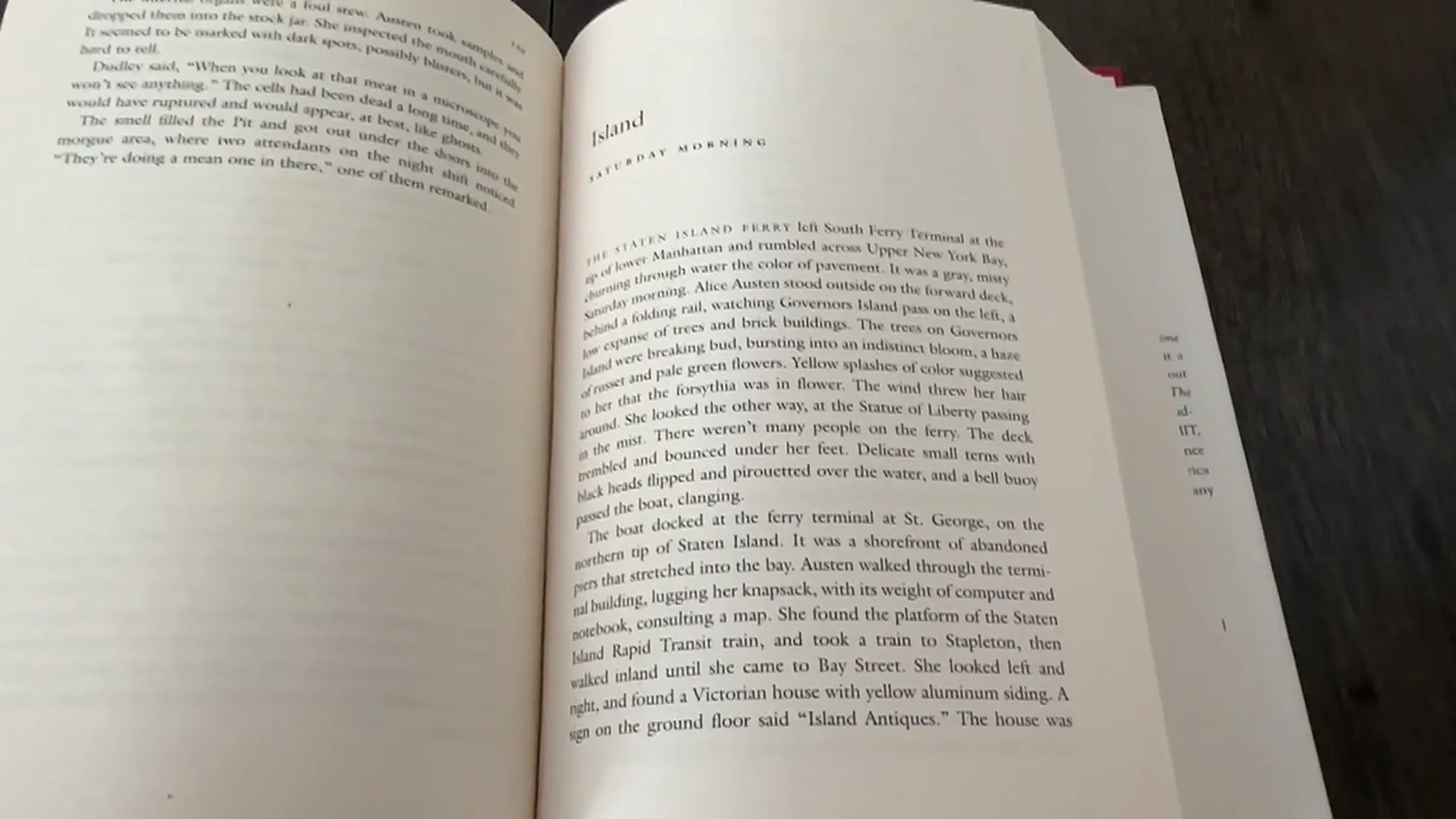 Bad Step Daughters Need Discipline ~ Indica Marie Lola Valentine ~ Household Fantasy ~ Scott Stark 2 - 000776