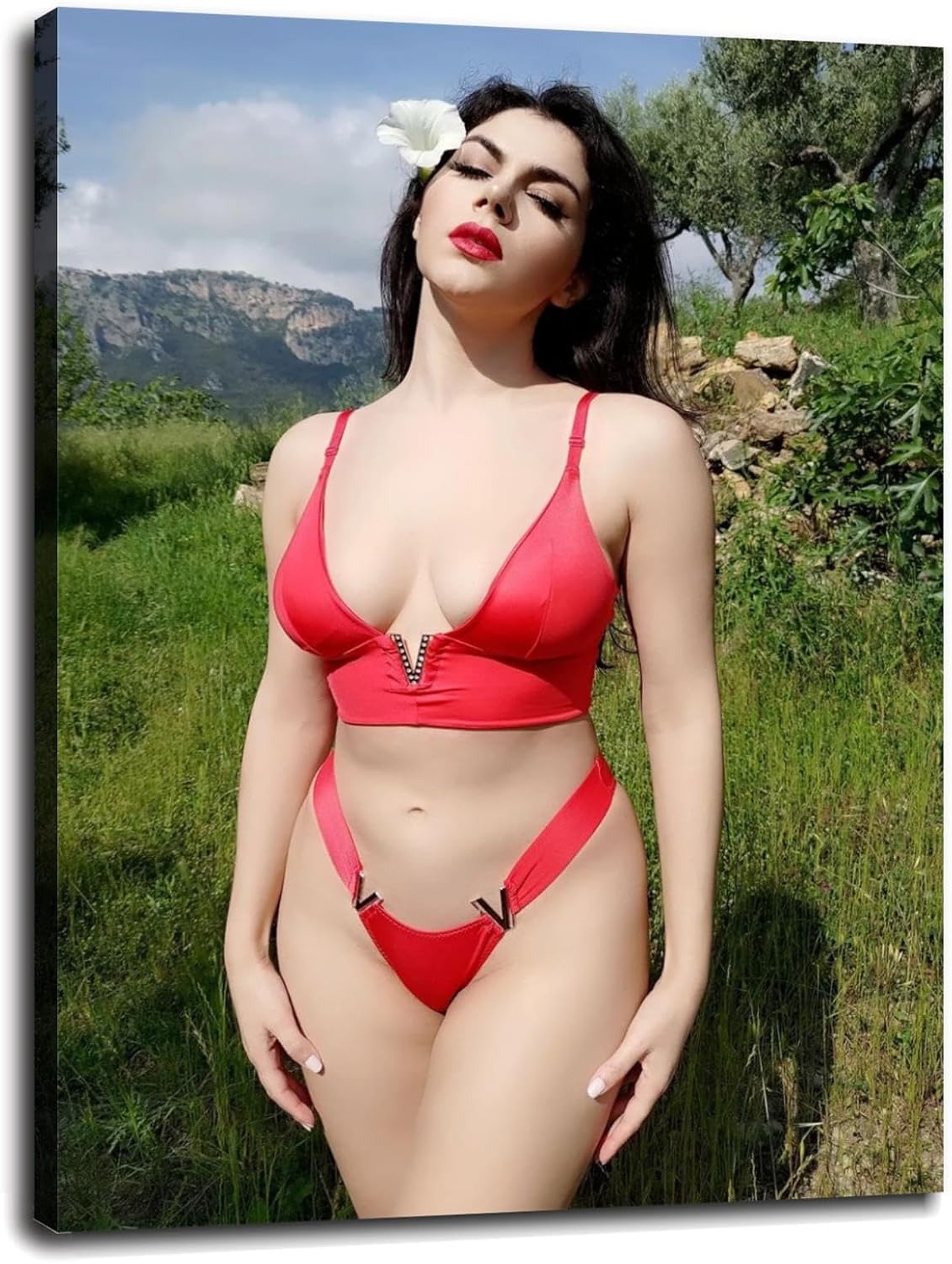 Valentina Nappi - Luminicor Valentina Nappi Wall Art Canvas Prints Lebanon Ubuy