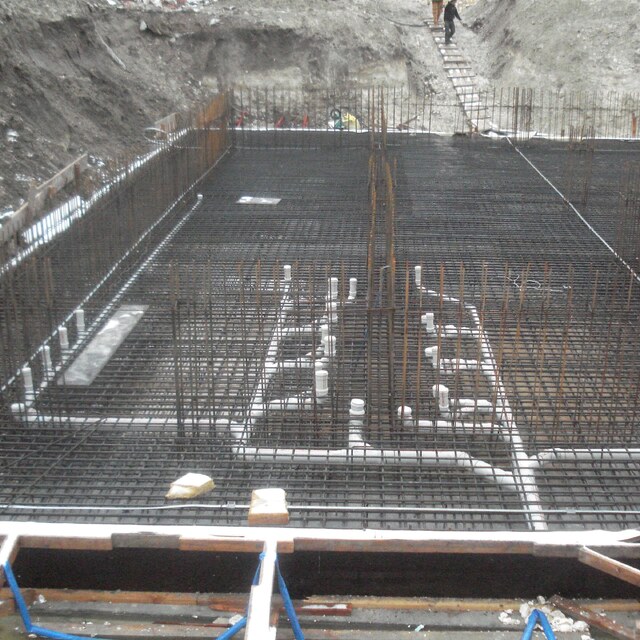 Dickforlilly - Our Services Saina 1772942224 1773008965