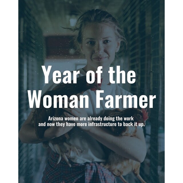 Photos - Show Your Indie Love — Local First Arizona