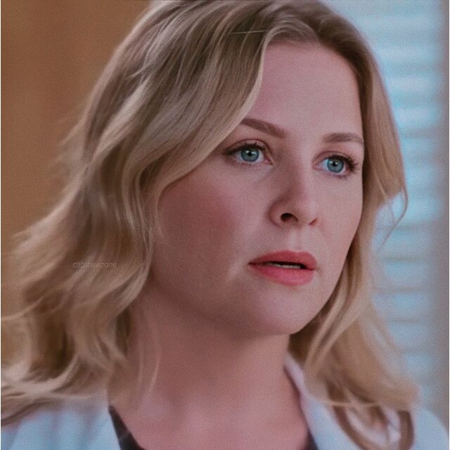 Photos - Pin By Kara Oakes On G R E Y S A N A T O M Y 🏥 Arizona Robbins,