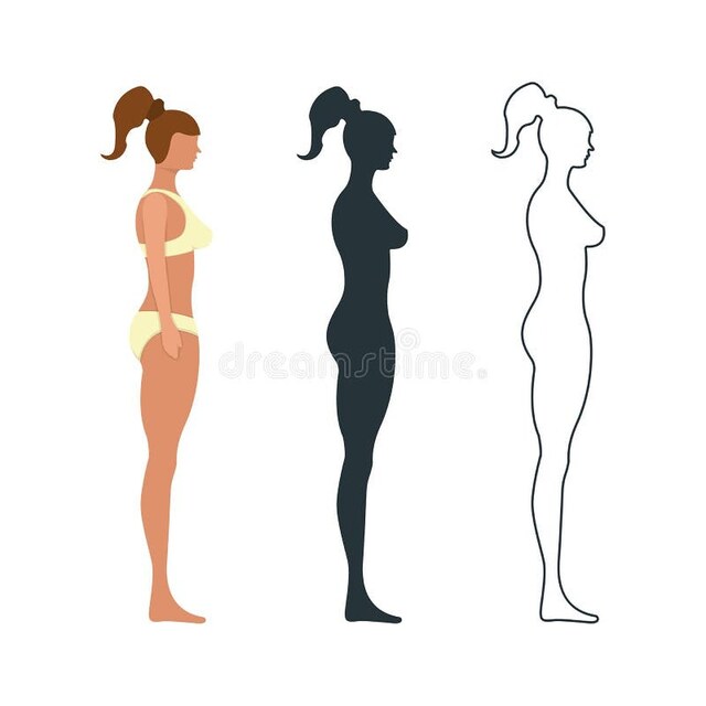 Photos - Silhouettes Of Beautiful Girls Standing In Colored Bikini Dress.