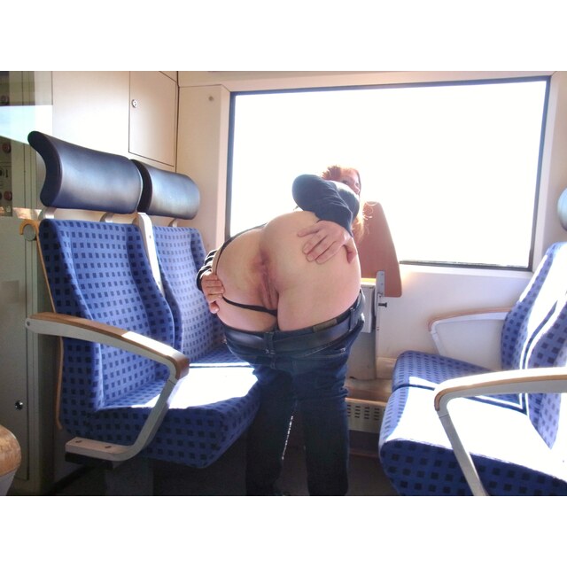 Flashing Pussy In Train - A Treat On The Train Porn Pic Eporner